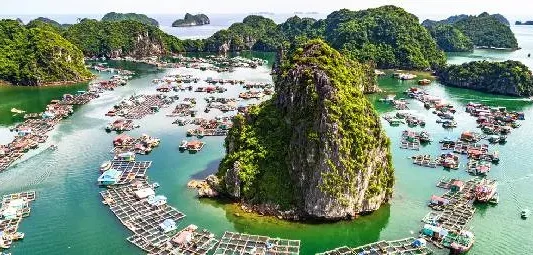 Discover Vietnam: The Ultimate Guide to Vietnam Tour Packages vietnam tour packages