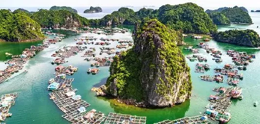 Discover Vietnam: The Ultimate Guide to Vietnam Tour Packages vietnam tour packages