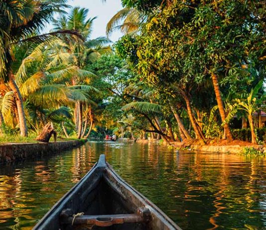Wandering Through Water and Spice: A Soulful Escape to Kerala’s Gentle Heart south kerala tour packages