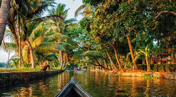 Wandering Through Water and Spice: A Soulful Escape to Kerala’s Gentle Heart south kerala tour packages