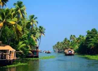 Explore South India: The Ultimate Tour Packages for an Unforgettable Journey South India tour packages