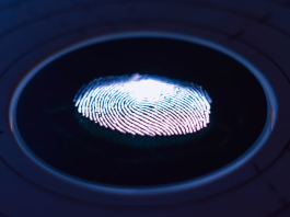 How Live Scan Services Can Improve Compliance and Security for Your Business Live Scan