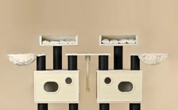 Häufige Fehler beim Kauf eines Kratzbaum XXL (und wie du sie vermeidest) Kratzbaum XXL